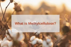 what is methylcellulose