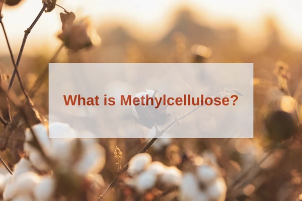 what is methylcellulose