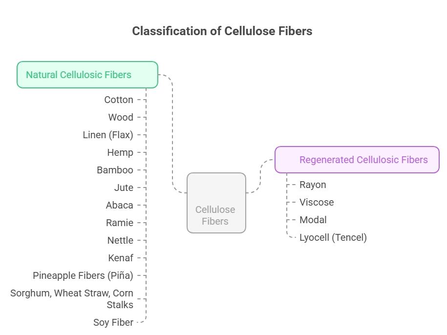 classification-of-cellulose-fibers